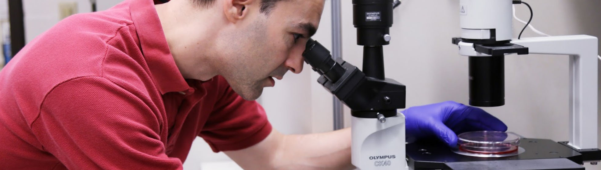 MEDSCHOOL, MIC, Research, Liechti Lab